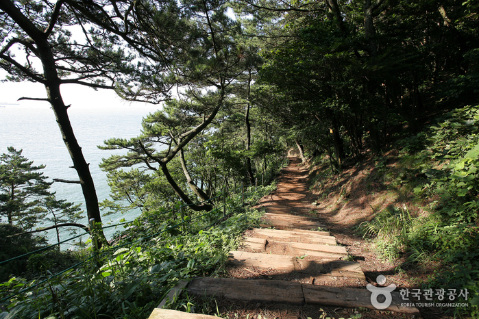 Parque Amnam de Busan (부산 암남공원)0