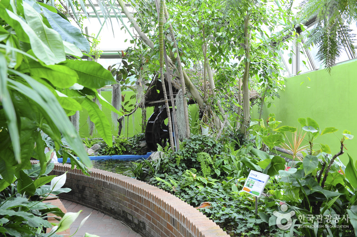 安山植物園(안산식물원)