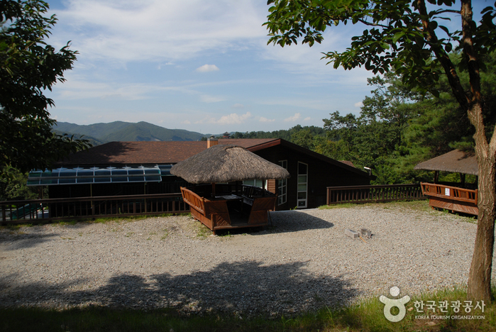 錦江自然休養林（錦江樹木園、山林博物館）（금강자연휴양림（금강수목원,산림박물관））