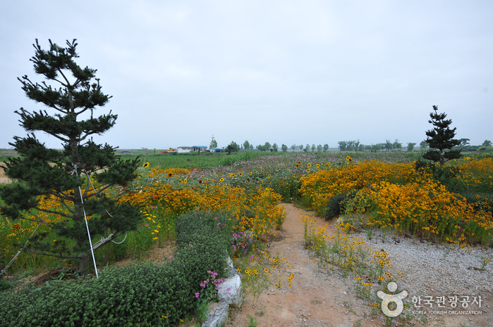 Julpo Ecological Park (줄포자연생태공원)