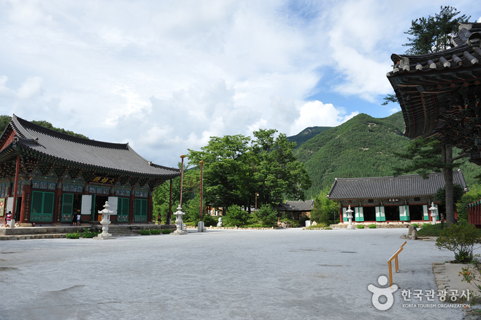 Wanju Songgwangsa Temple (송광사(완주))