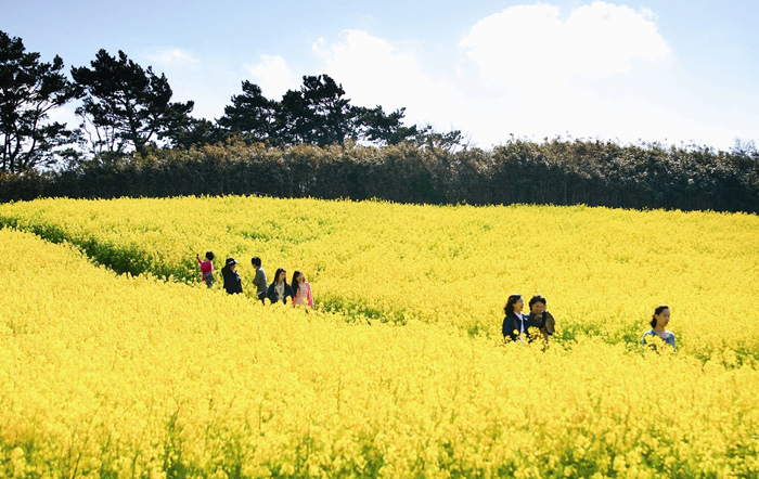 전북 부안으로 ‘마실’오세요~! 미리 보는 부안마실축제