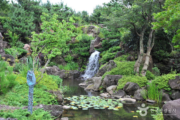Hueree Natural Park (휴애리 자연생활공원)