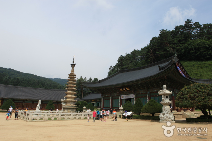 Templo Woljeongsa y Bosque de Abetos del Templo Woljeongsa (월정사·월정사 전나무숲)