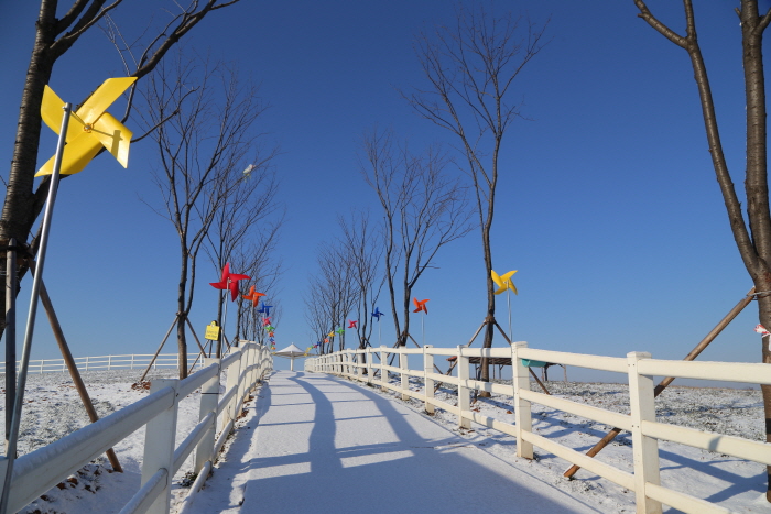 안성팜랜드 초원 눈썰매장 20203