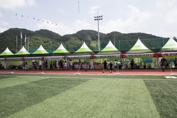 둔내고랭지토마토축제 2017 사진4