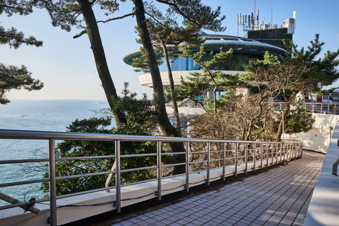 Taejongdae Cliffed Coast [National Geopark] (태종대 (부산 국가지질공원))