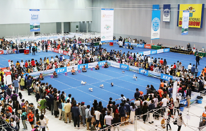 2023 익산 FCI 국제 도그쇼1