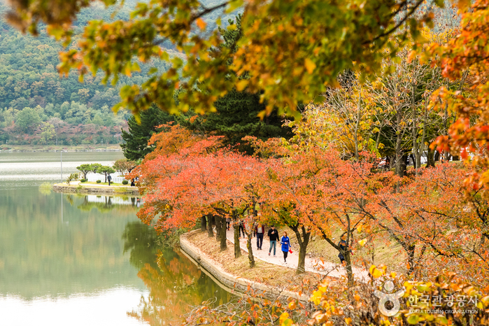 Complejo Turístico Bomun de Gyeongju (경주 보문관광단지)10 Miniatura