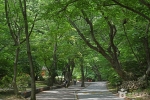 동학사계곡 (3)