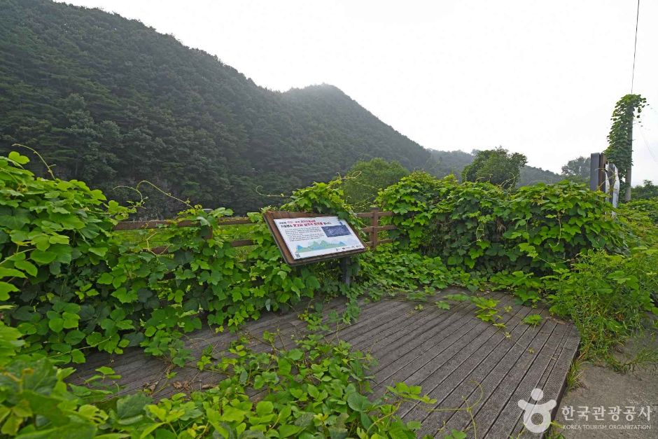 운교리 삼각주 퇴적층