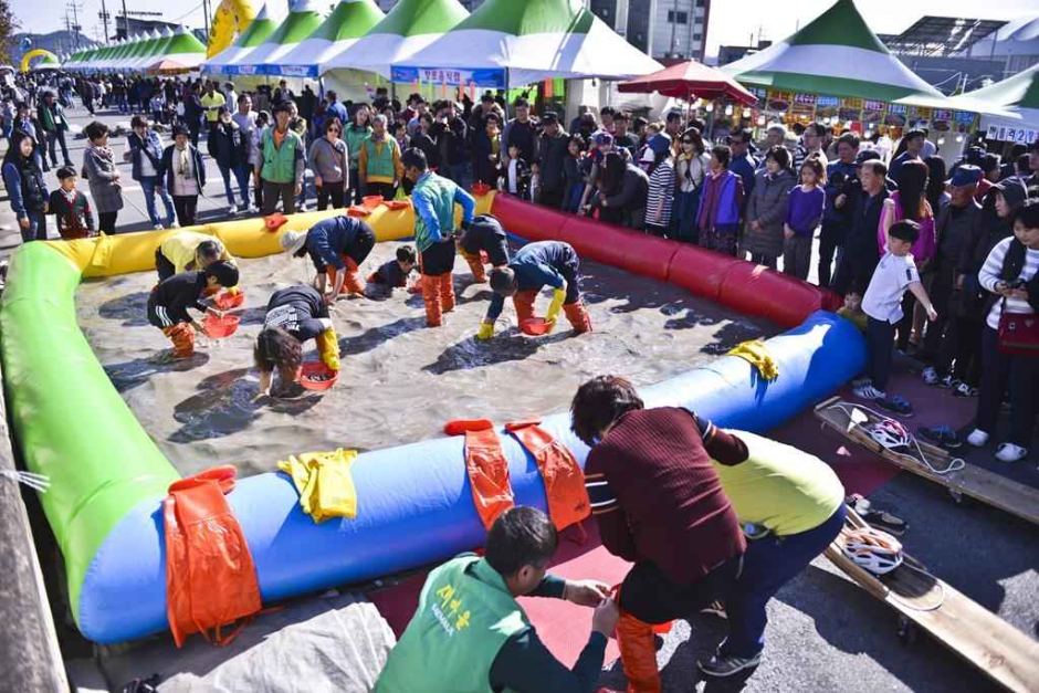 벌교꼬막축제