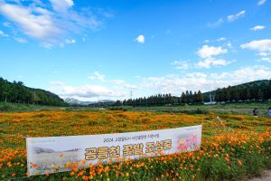 고양_공릉천 (3)