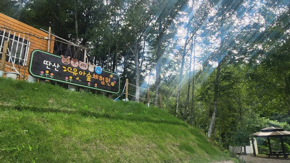딴산