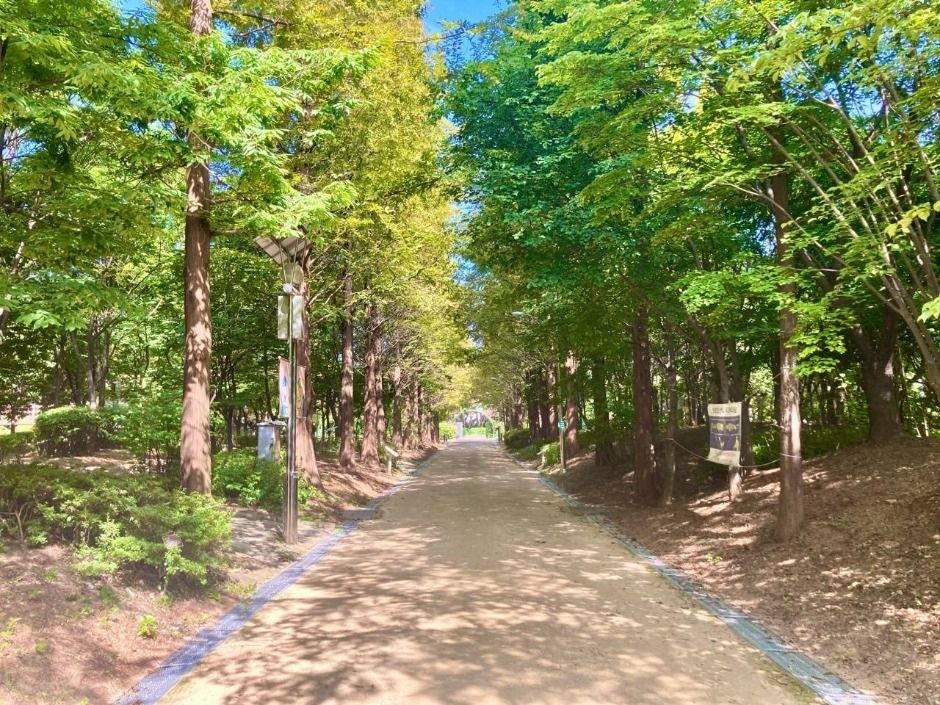 [시흥 늠내길 4코스] 바람길