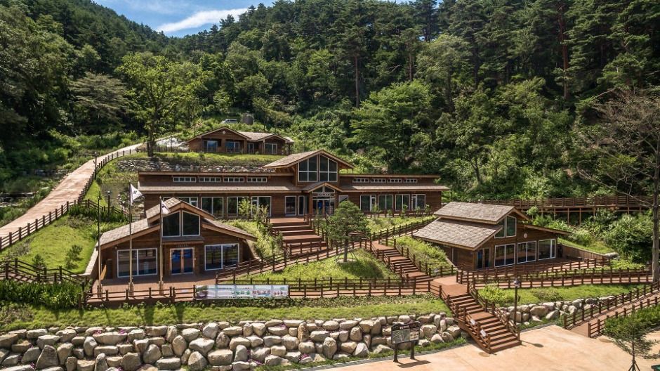 국립대관령치유의숲