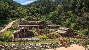 강릉_국립대관령치유의숲 (4)