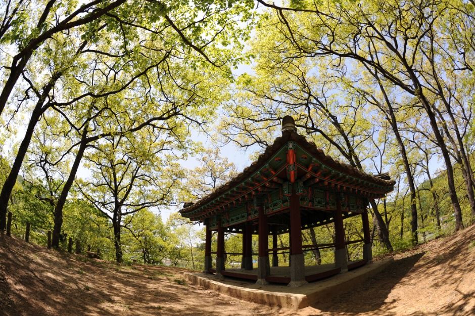 옥화9경