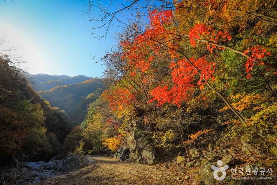 미천골계곡