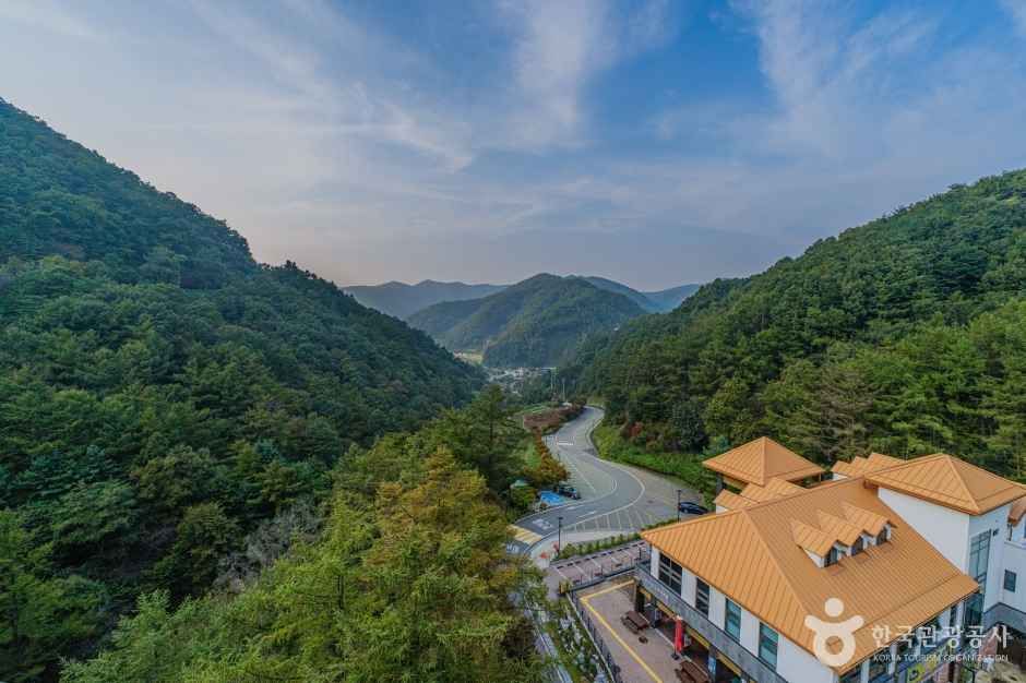 좌구산 자연휴양림