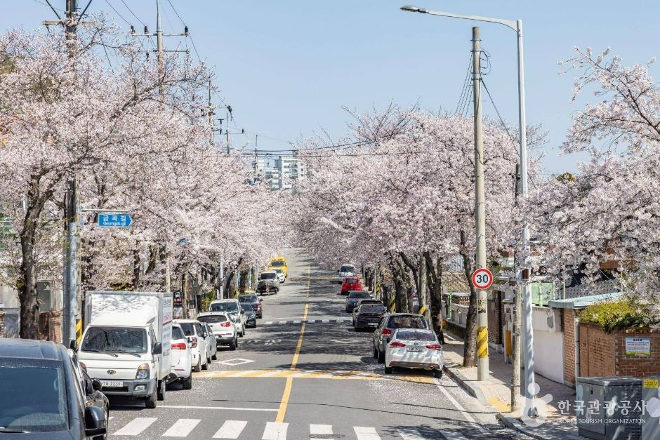 공마당둘레길