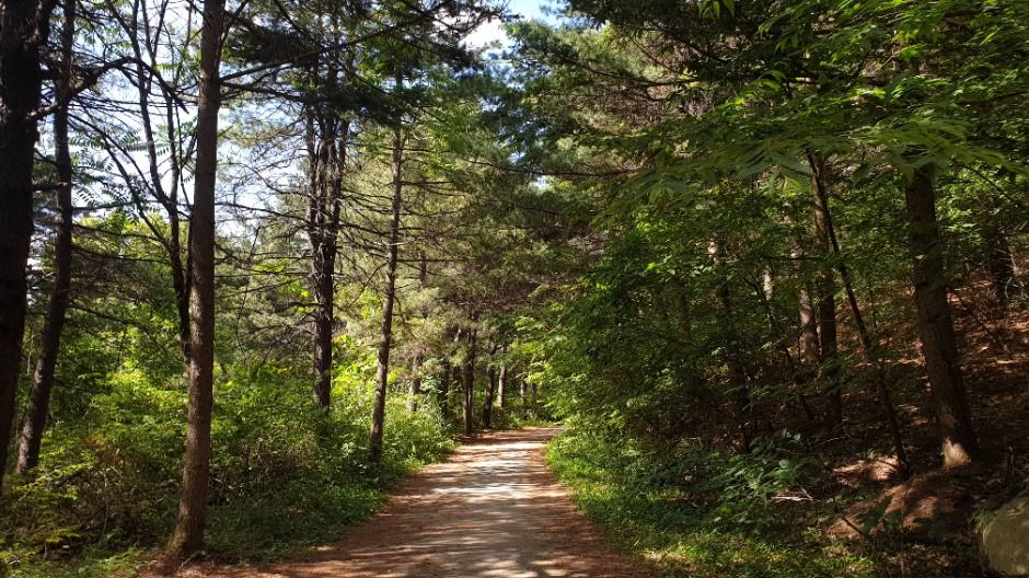 thumbnail-[경기옛길 삼남길 제6길] 화성효행길-10