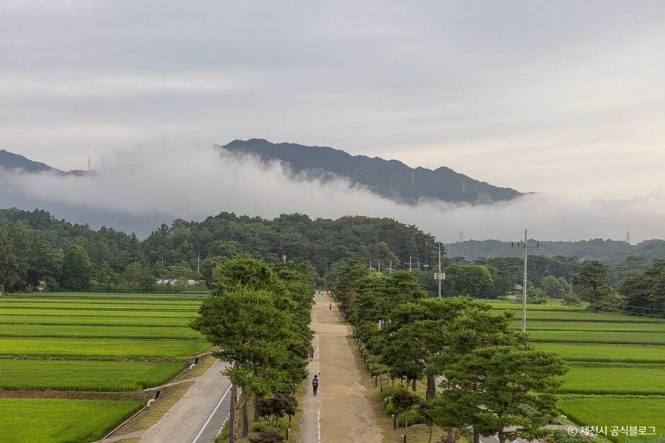 제천_삼한의 초록길 (3)