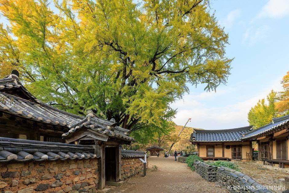 경주 유연정