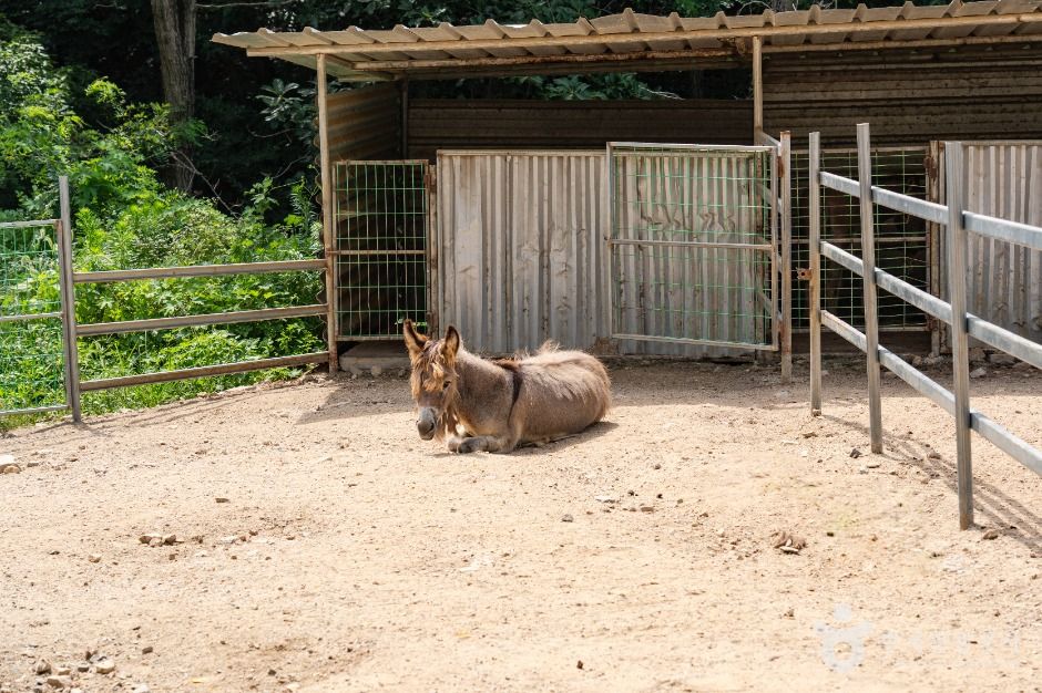 구미_쥬쥬동산 (7)