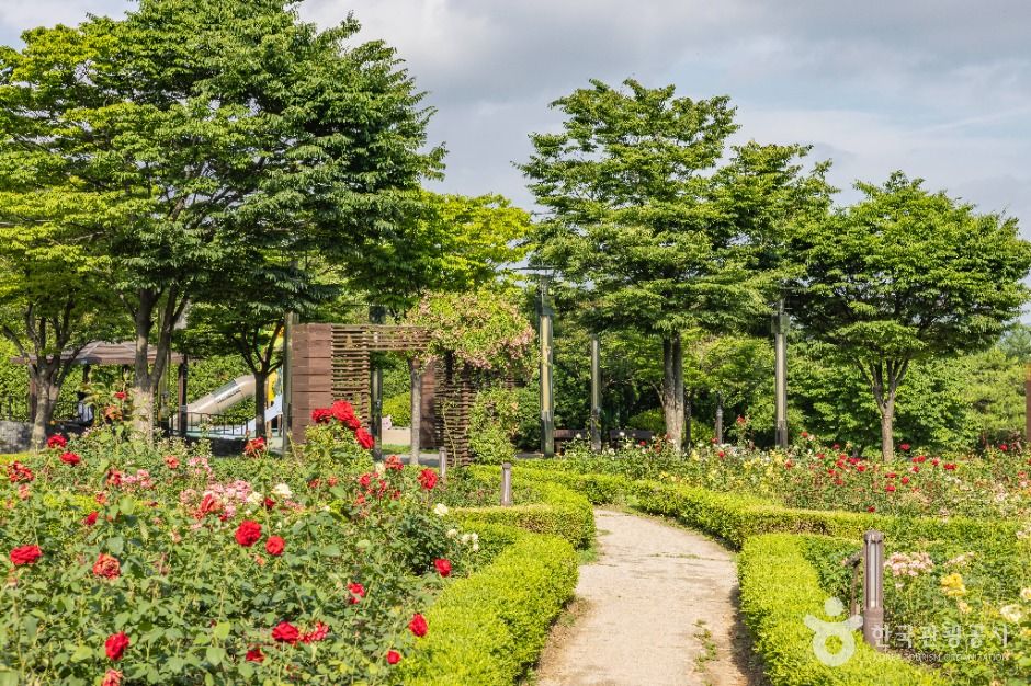 thumbnail-장미공원-15