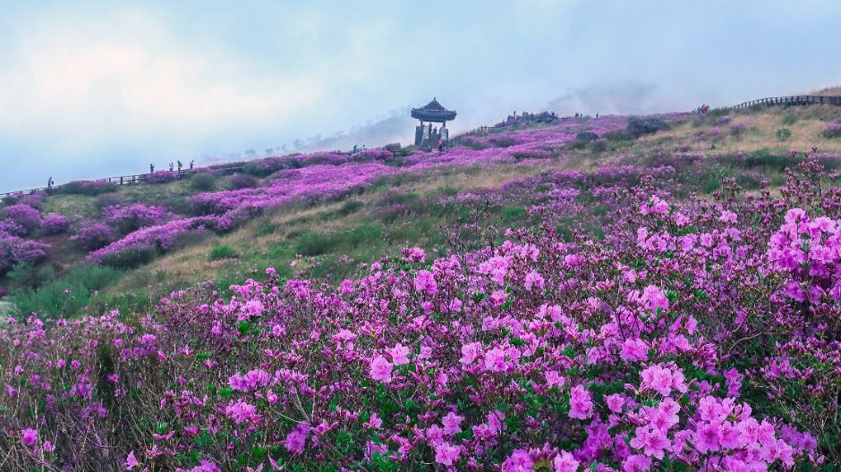 황매산(산청)