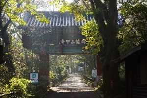 공주 갑사
