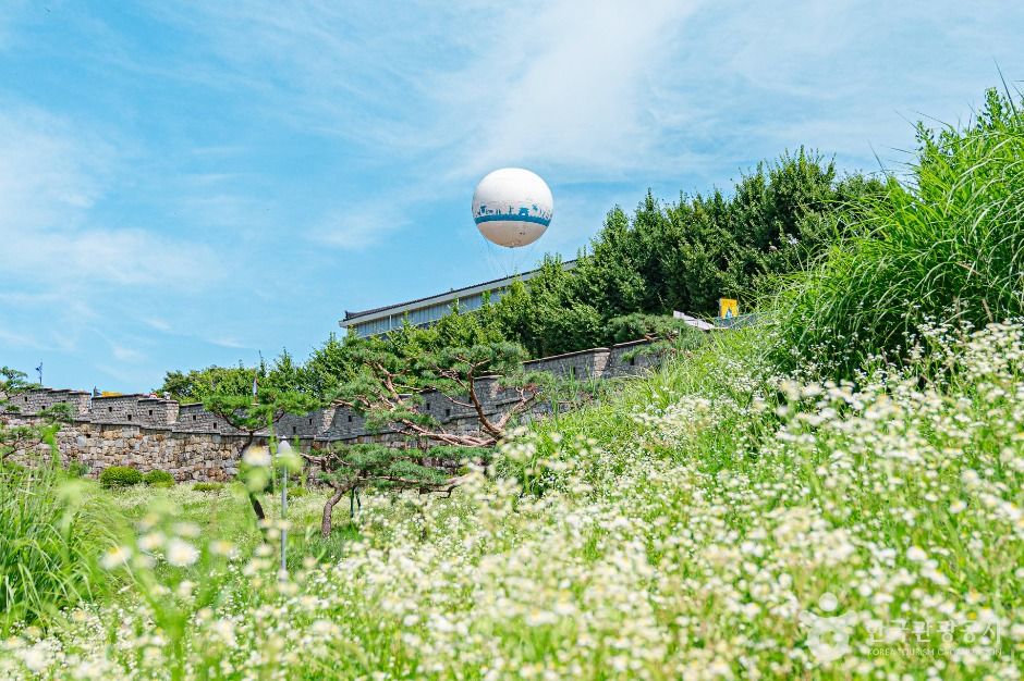 수원_플라잉 수원 (5)