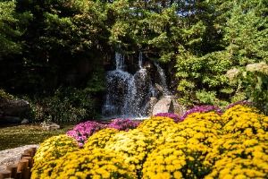 2025 인제가을꽃축제 3