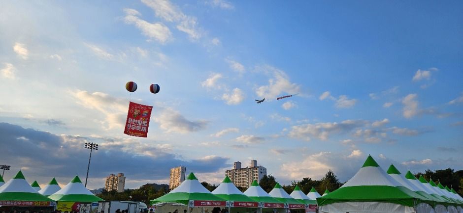 2025 합천황토한우축제 2