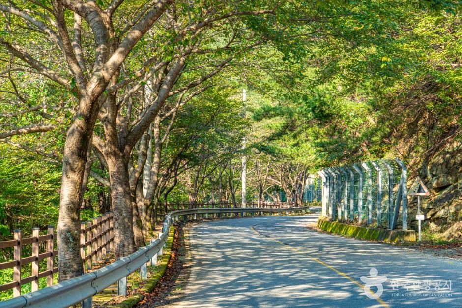 thumbnail-백암동천-10