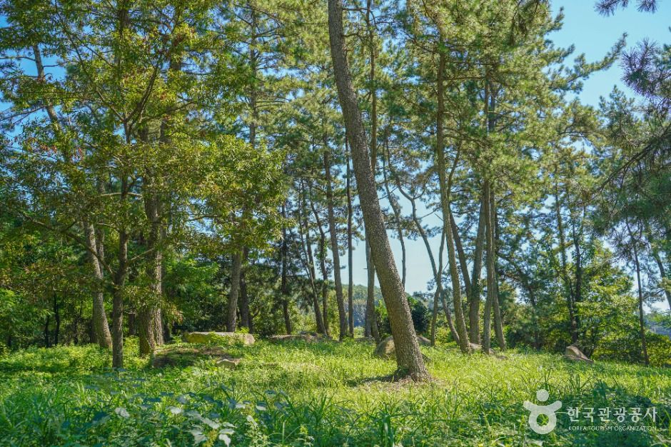 장흥 방촌리 지석묘군