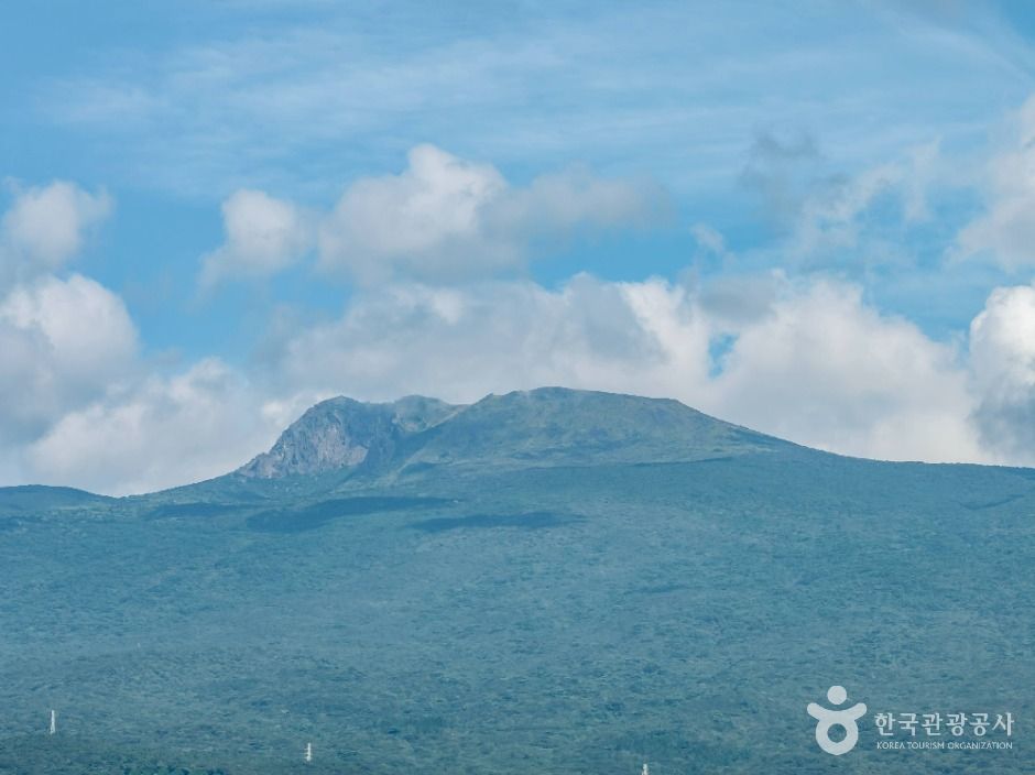 제주_제주도 관광특구 (5)
