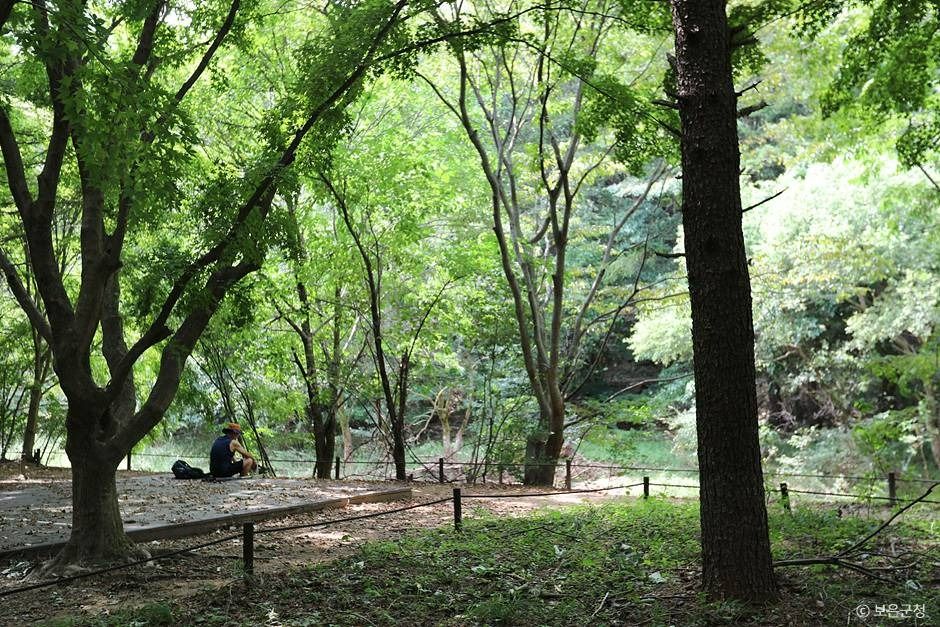 보은_세조길 (9)