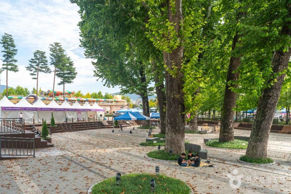 충주_충주탄금공원 (7)