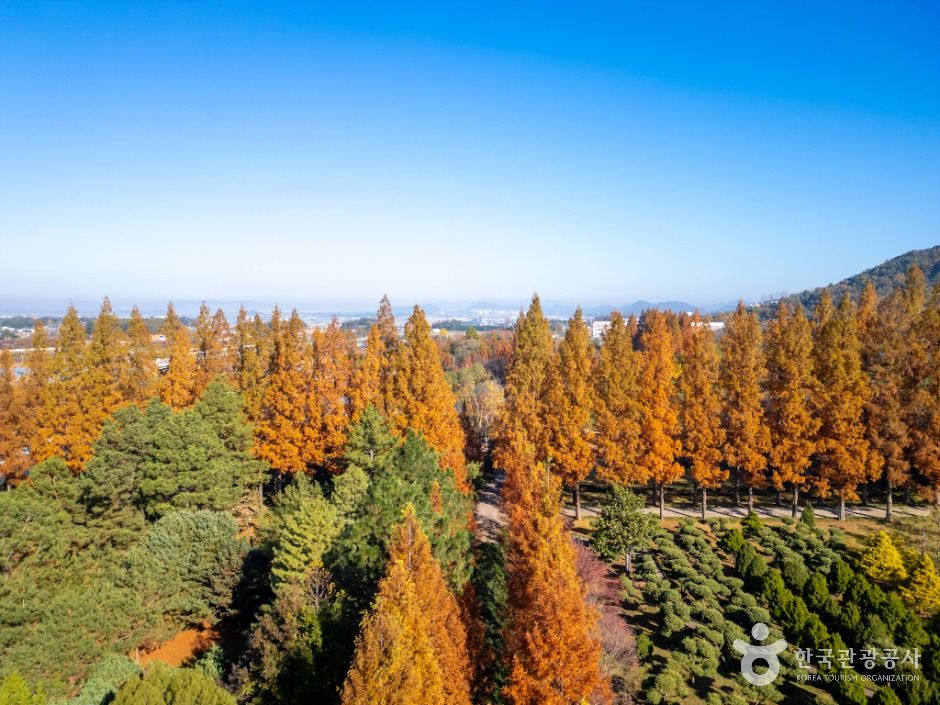 전라남도 산림연구원