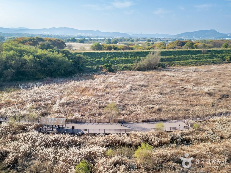 thumbnail-대명유수지-1