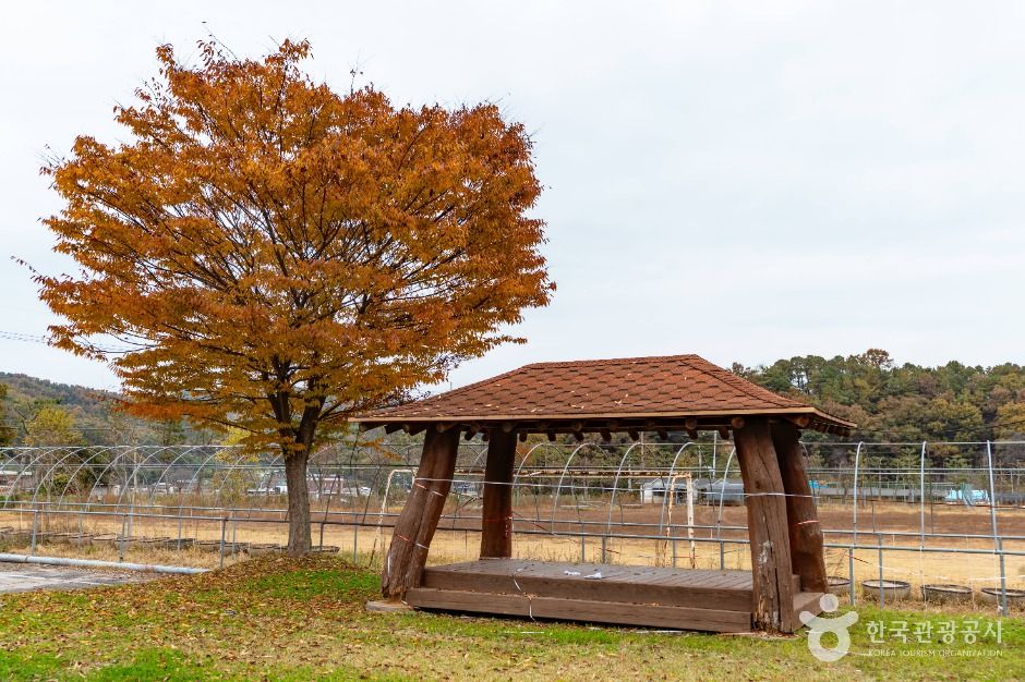 둥구리 농촌체험휴양마을