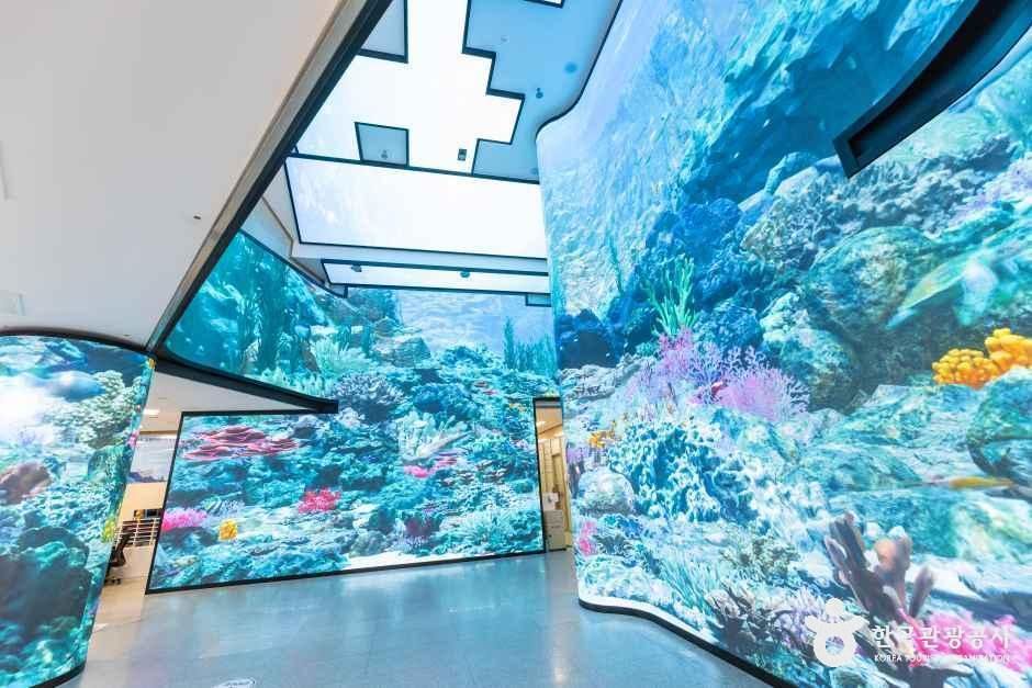 thumbnail-강화자연사박물관-2