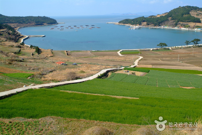 »îÀÇ »ýä±â °¨½Î µµ´Â ºÓÀº ȲÅê±æ, ¡®½½·Î¿ìÅÛÆ÷¡¯ ÀÇ ¹Ù´Ù¸¦ °È´Ù