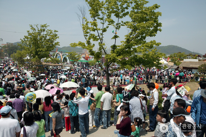 Hampyeong Butterfly Festival (함평 나비대축제) 