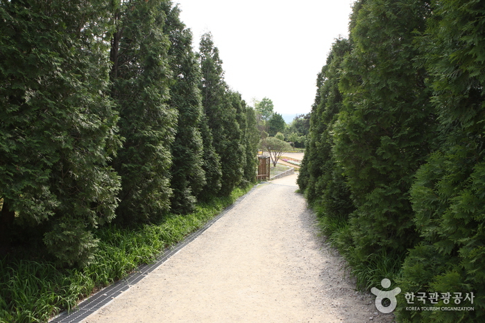 Hantaek Botanical Garden (한택식물원)