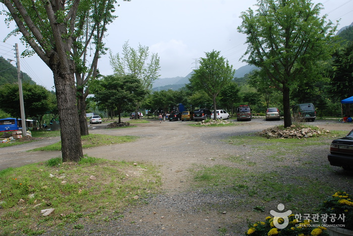 Jangnyeongsan Natural Forest (장령산자연휴양림)