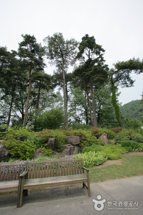 The Botanical Garden BCJ (Byeokchoji) (벽초지 문화수목원)