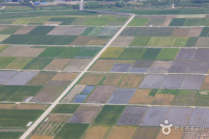Pyeongsari Field (평사리들판)